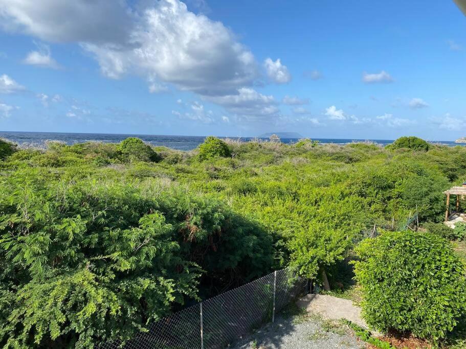 Maison Bord De Mer A 100 M سانت فرانسوا المظهر الخارجي الصورة