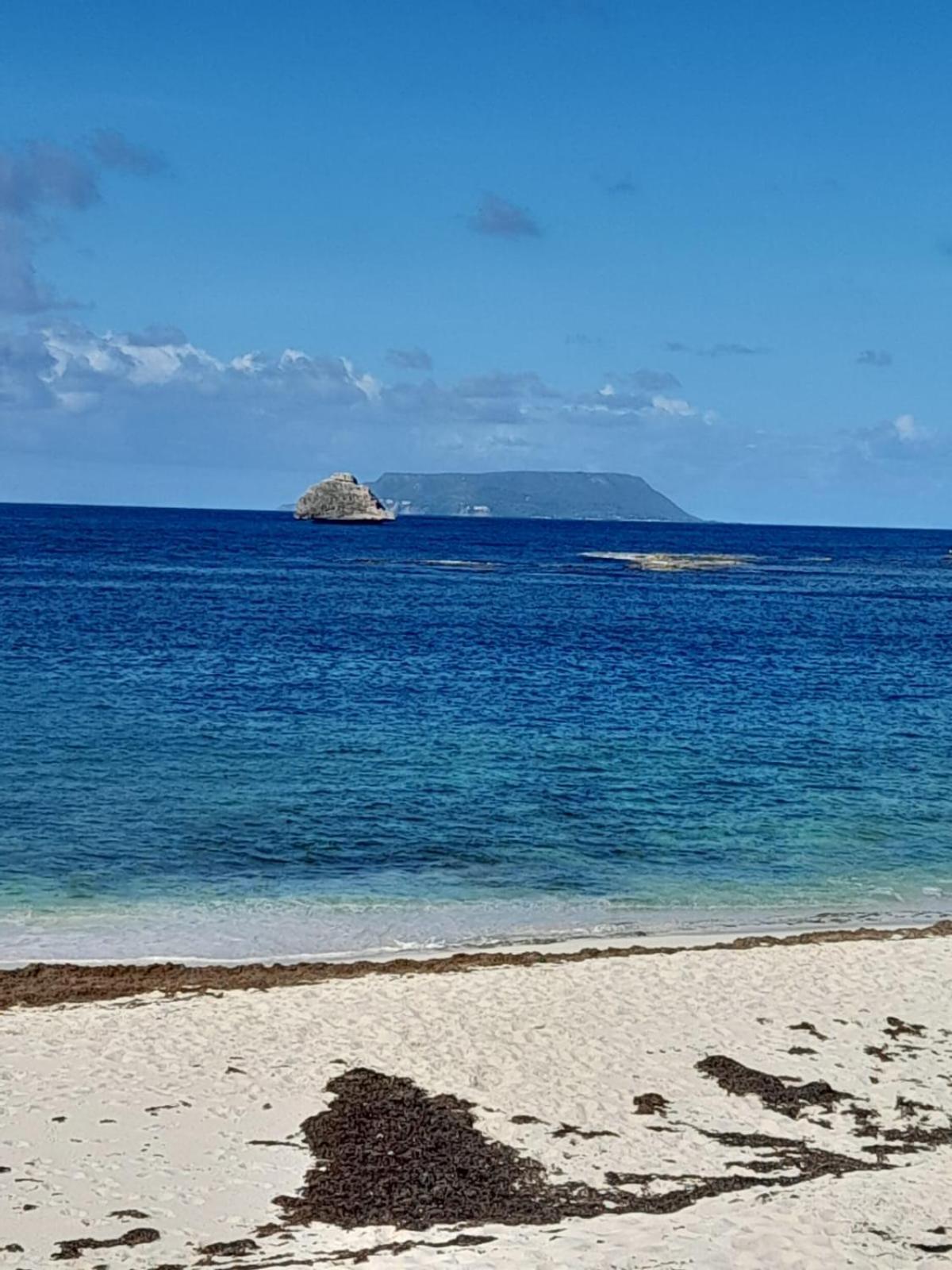 Maison Bord De Mer A 100 M سانت فرانسوا المظهر الخارجي الصورة