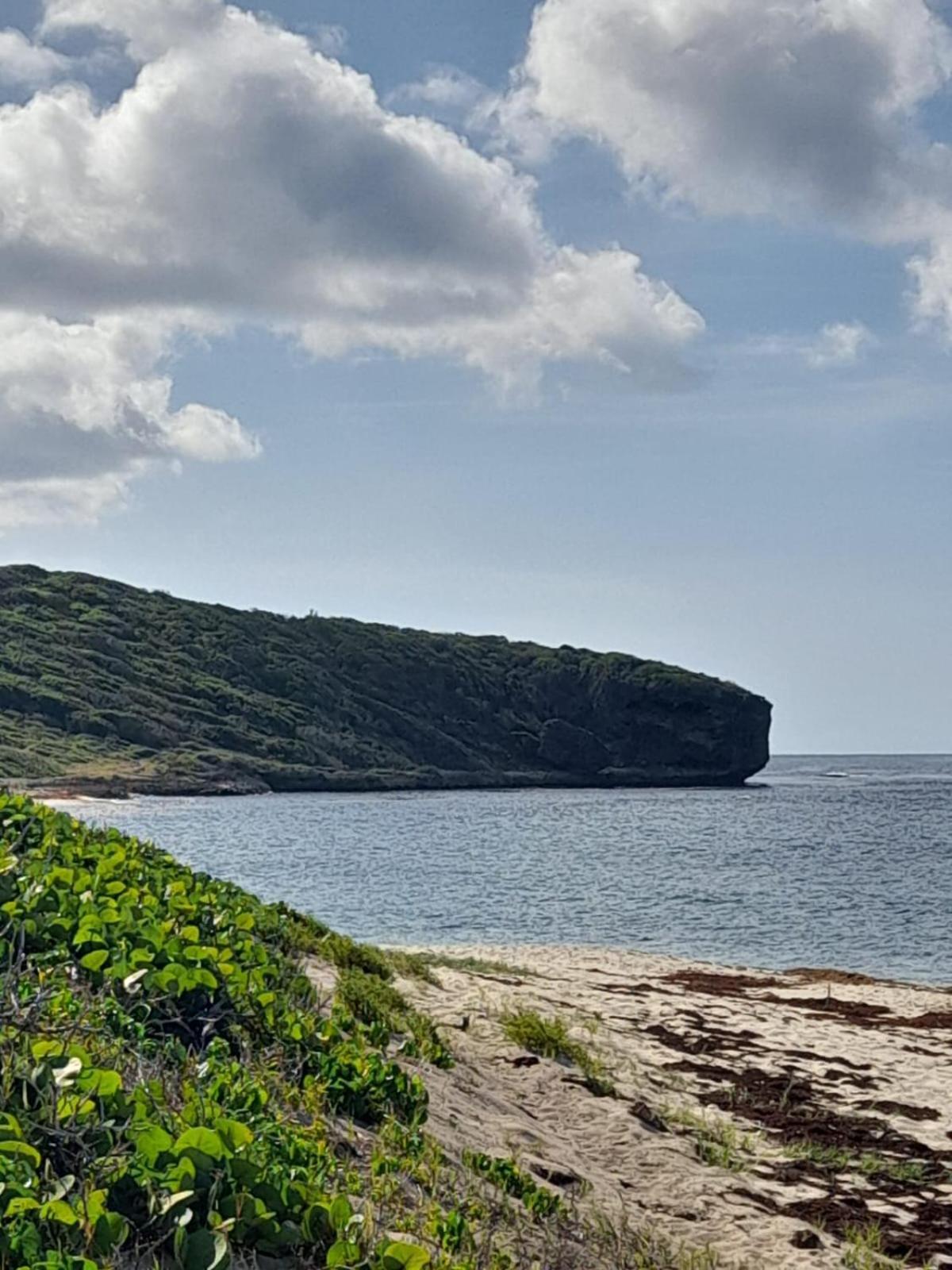 Maison Bord De Mer A 100 M سانت فرانسوا المظهر الخارجي الصورة